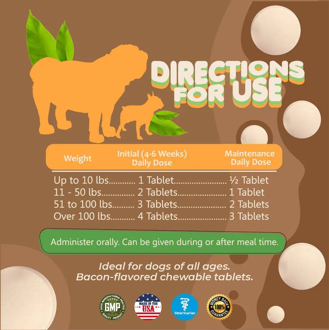 Happy active dog — joint support