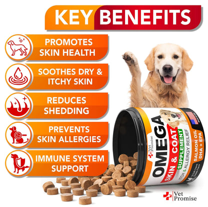 Happy dog with shiny coat and Joobello Omega-3 chews