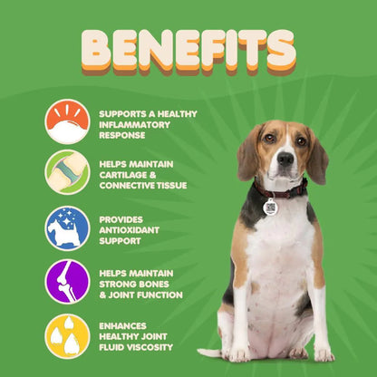 Dog joint supplement — made in USA
