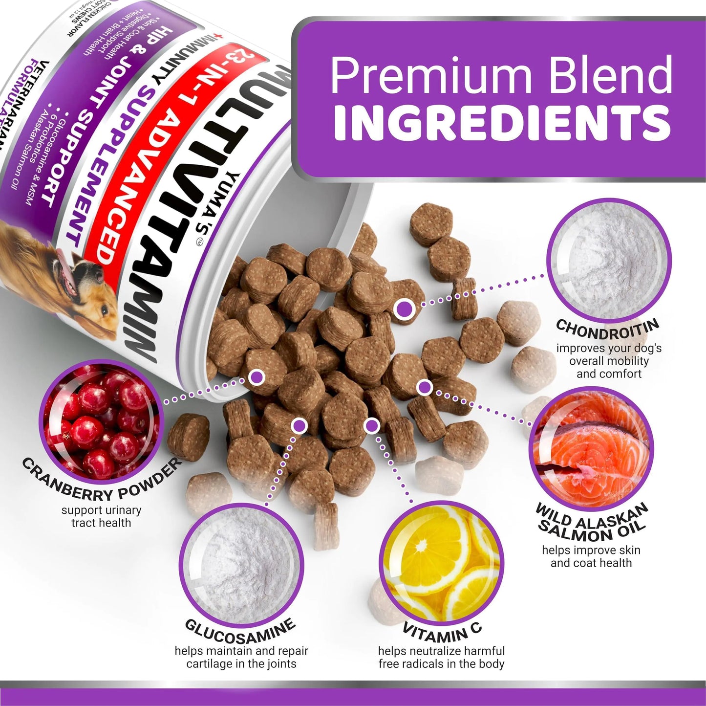 23-in-1 dog multivitamin — premium blend ingredients
