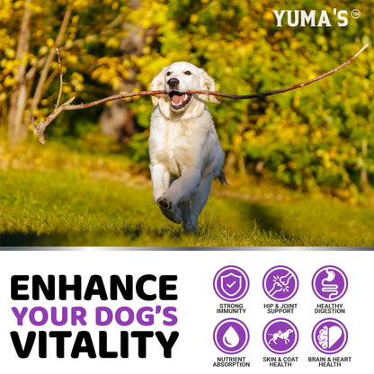 Dog multivitamin soft chews — chicken flavor