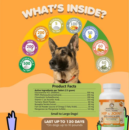 Dog joint supplement ingredients