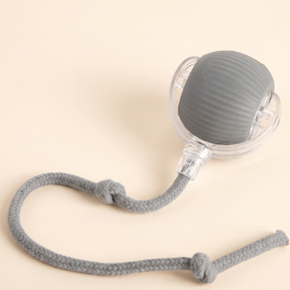 Smart Rolling Pet Ball — Grey