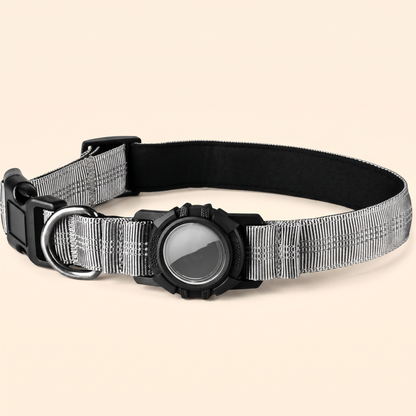 AirTag-Compatible Dog Collar — Silver