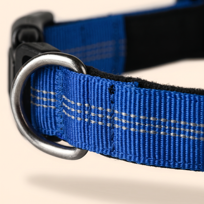 Close-up macro of the Joobello blue collar reflective double-stitching, woven nylon and sturdy metal D-ring