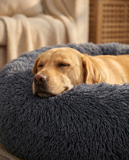 Labrador resting its head on the raised plush bolster rim of the Joobello calming donut dog bed