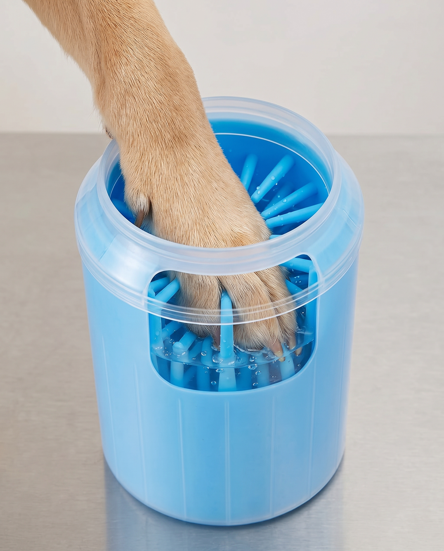 Dog's paw inside the Joobello blue paw cleaner cup showing the soft silicone bristles and water