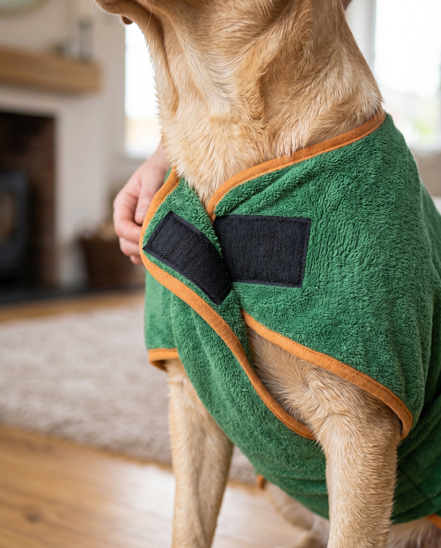 Close-up of the adjustable velcro closure on the Joobello green quick-dry dog bath robe